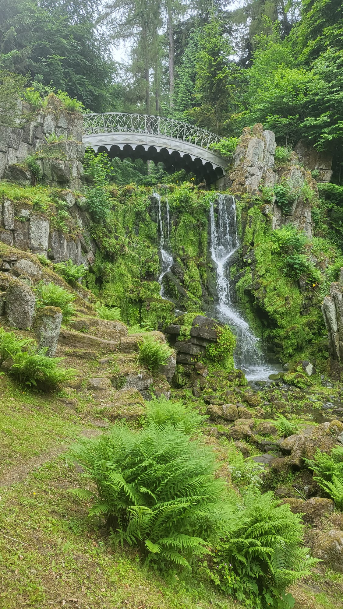 Zauberhafter Wald Zauberhafter Wald